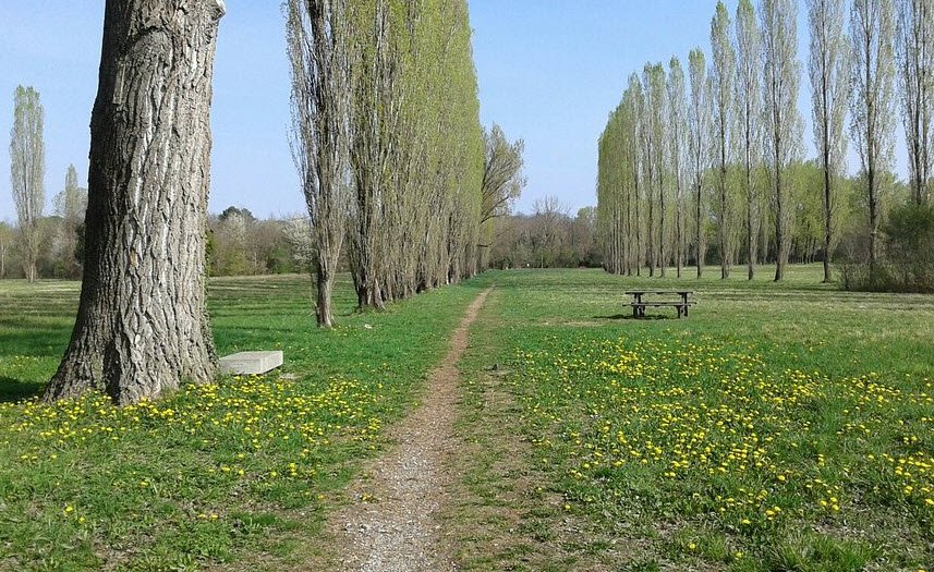 Parco del Cormor, Udine, Province of Udine, Italy, Italy